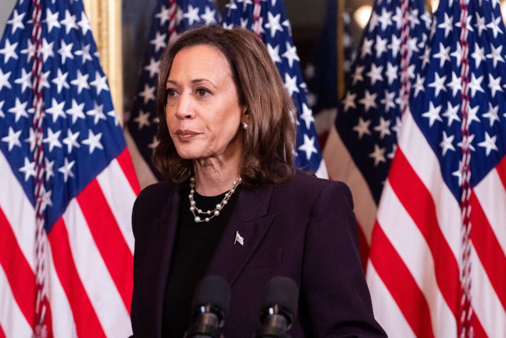 Why a Harris Presidency Poses Risks for Everyone: An Opinion Piece